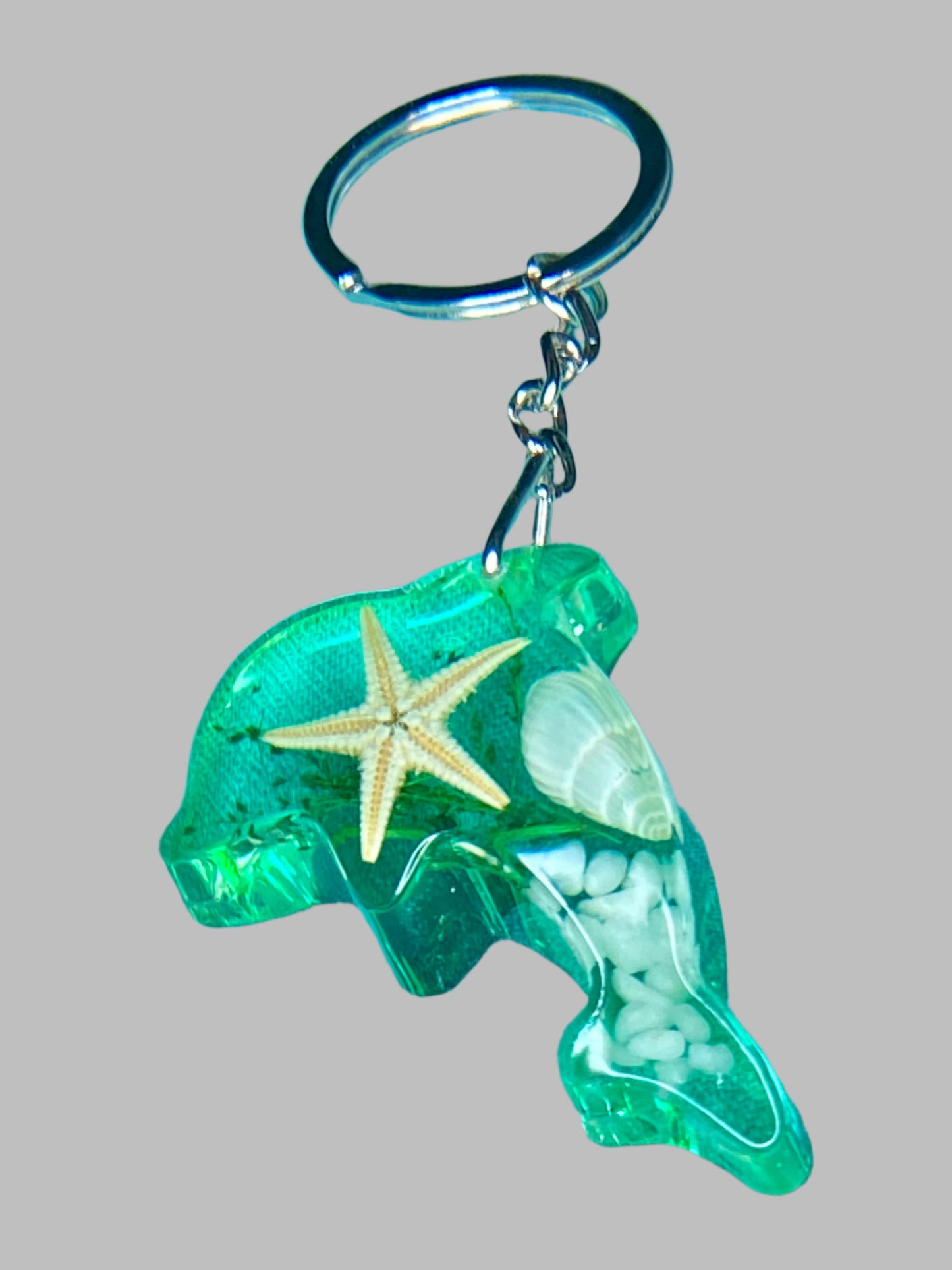 Resin Dolphin Key chain