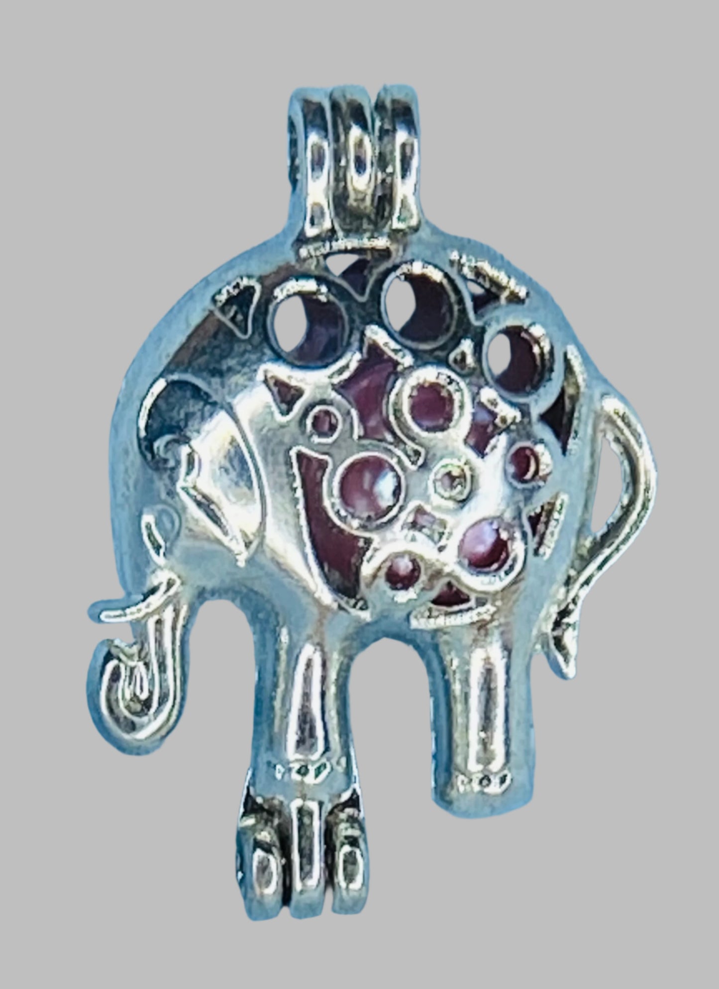 Elephant Cage - Freshwater