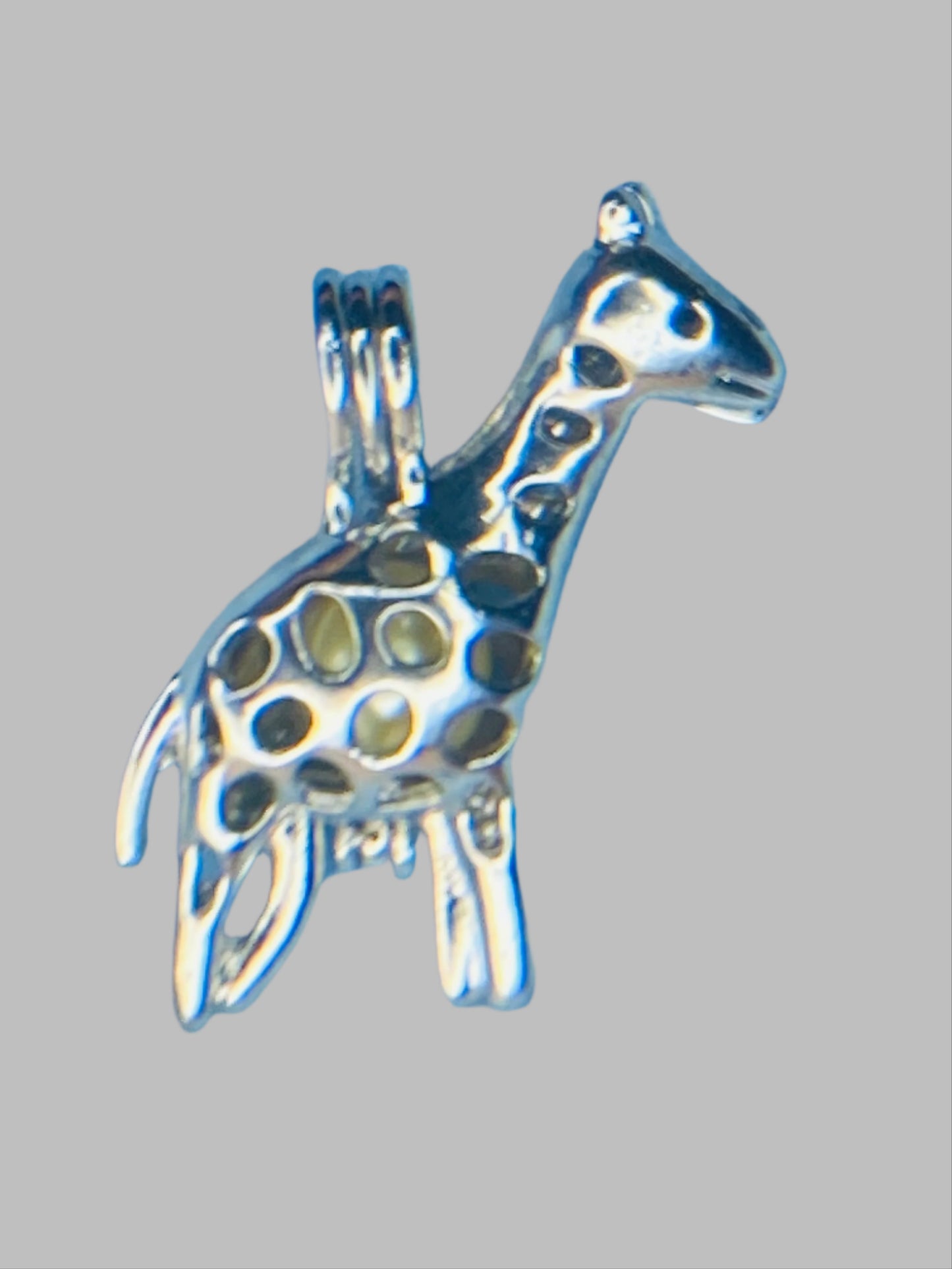 Giraffe Cage - Freshwater