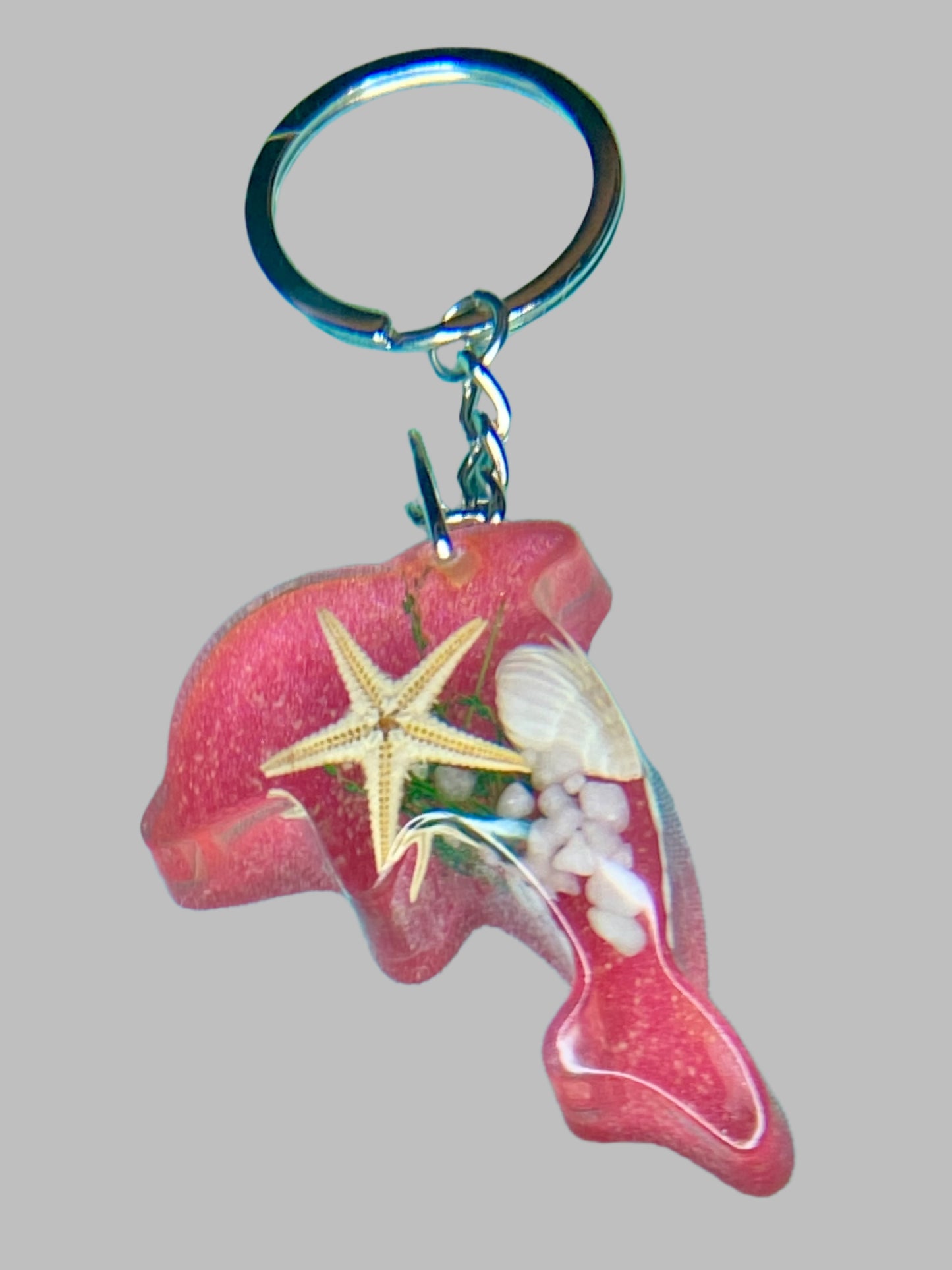 Resin Dolphin Key chain