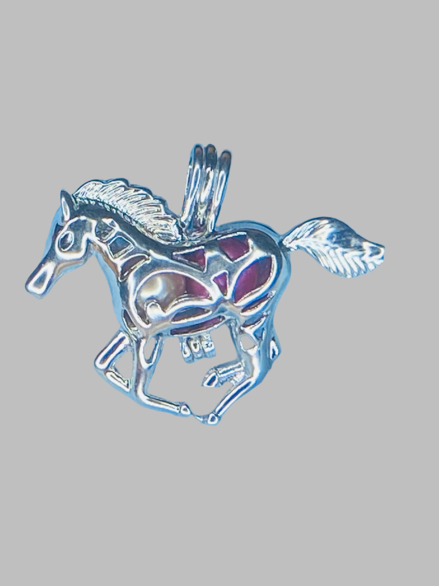 Horse Cage - Freshwater