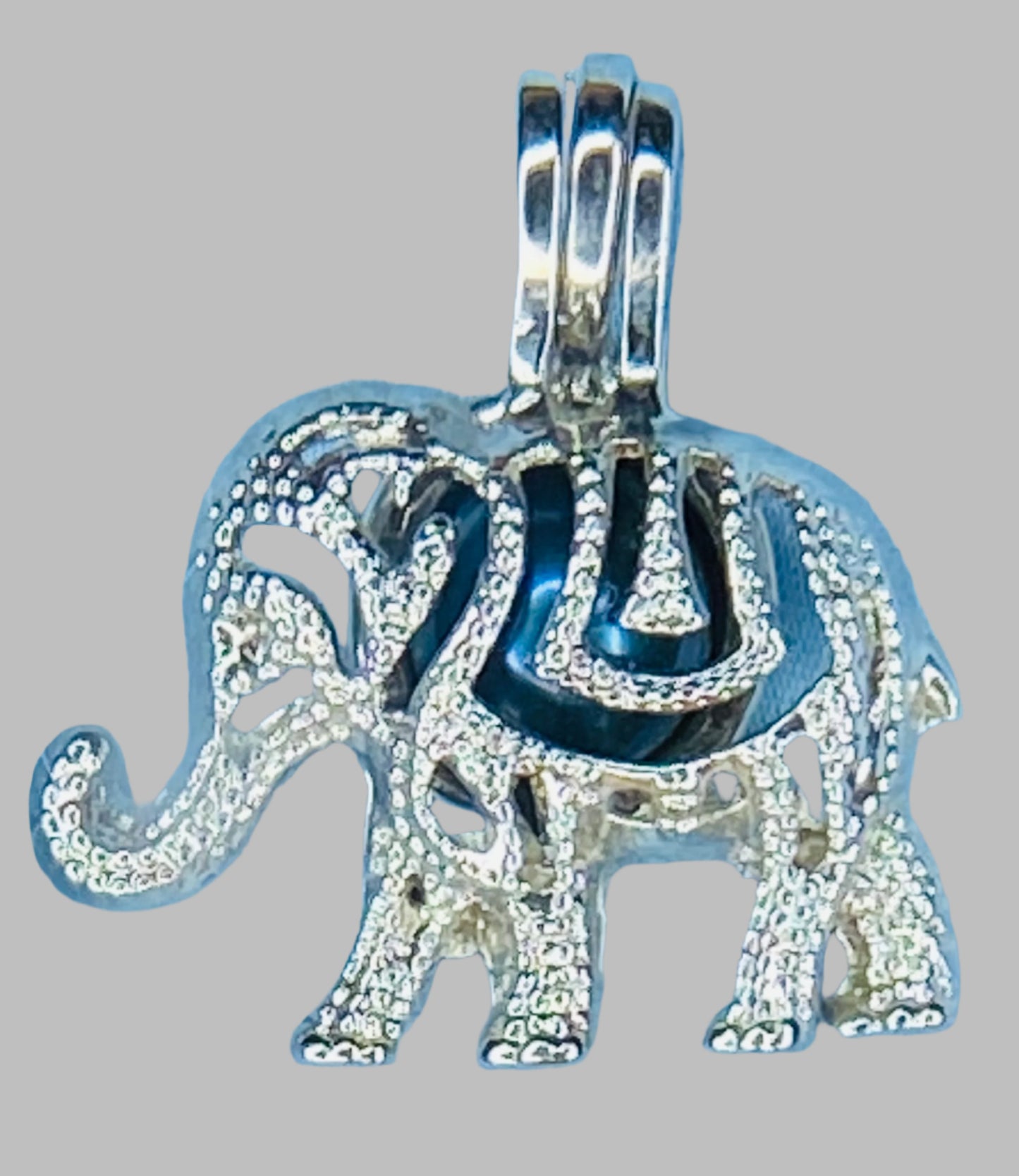 Elephant Cage - Freshwater