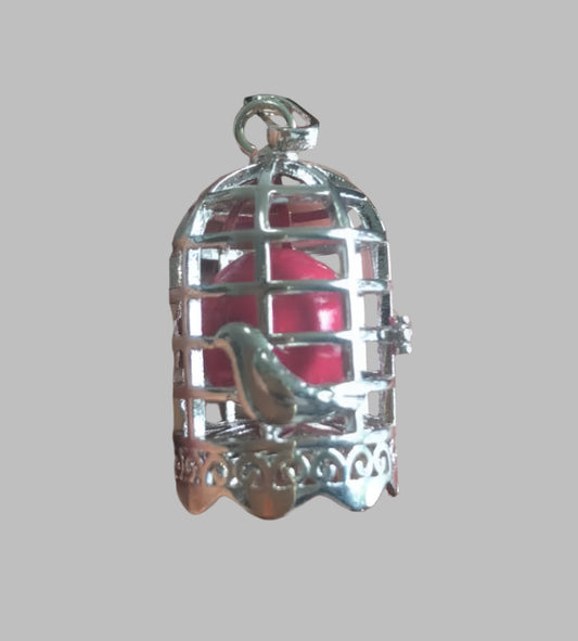 Bird Cage Cage - Edison