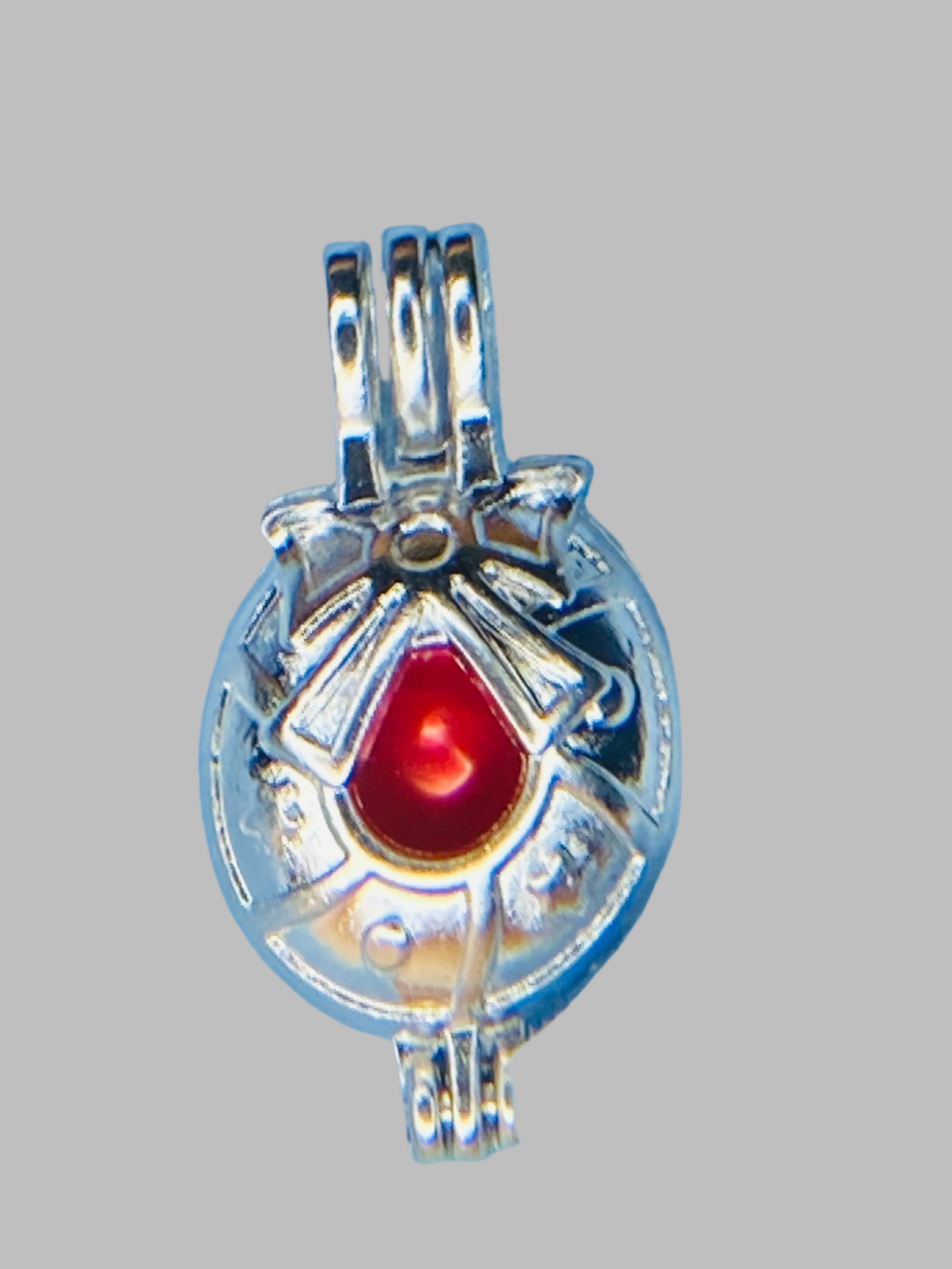 Christmas Wreath Cage - Freshwater