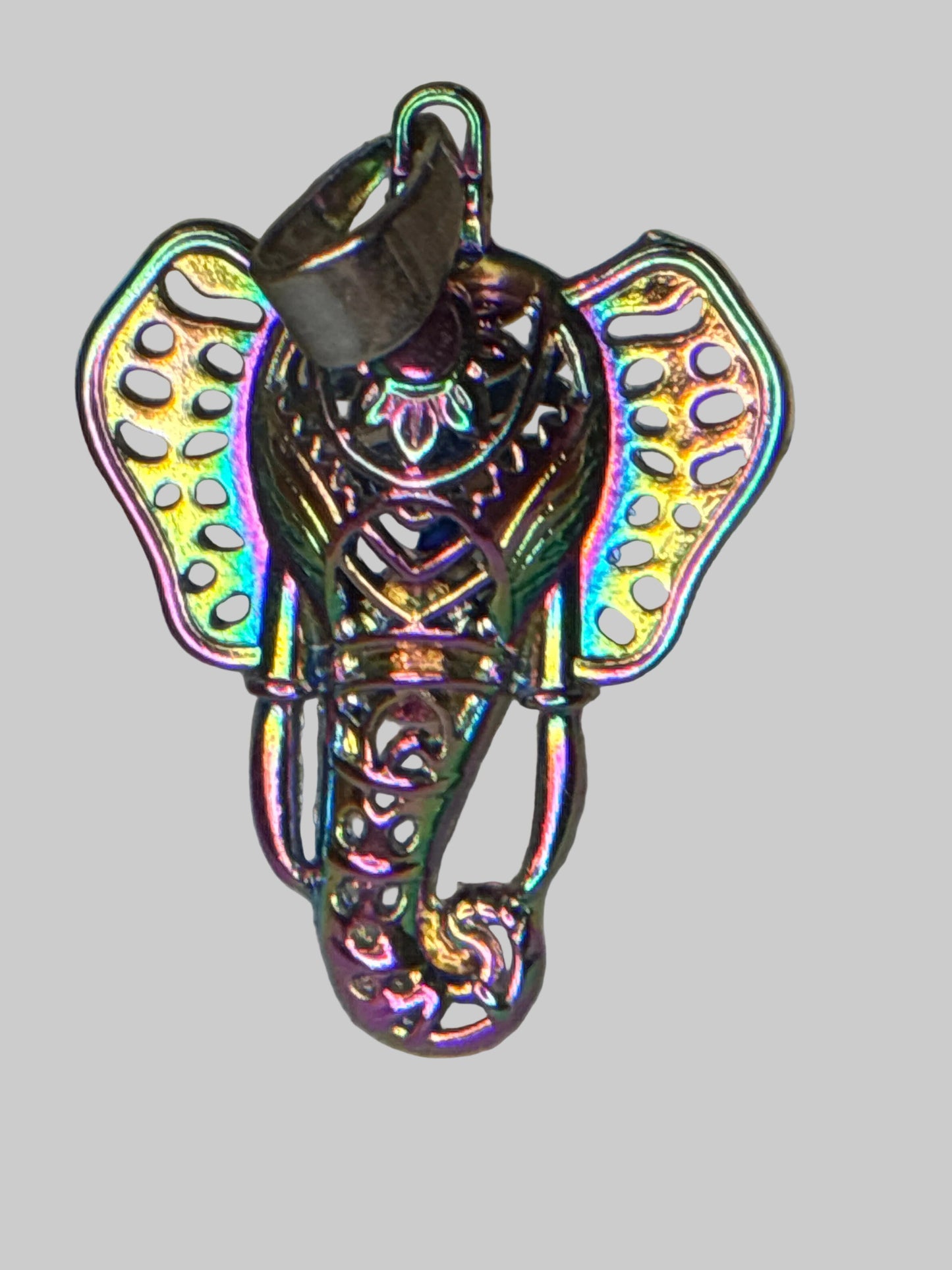 Elephant Cages - Edison