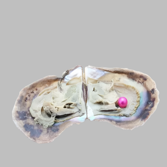 Freshwater Oyster Opening